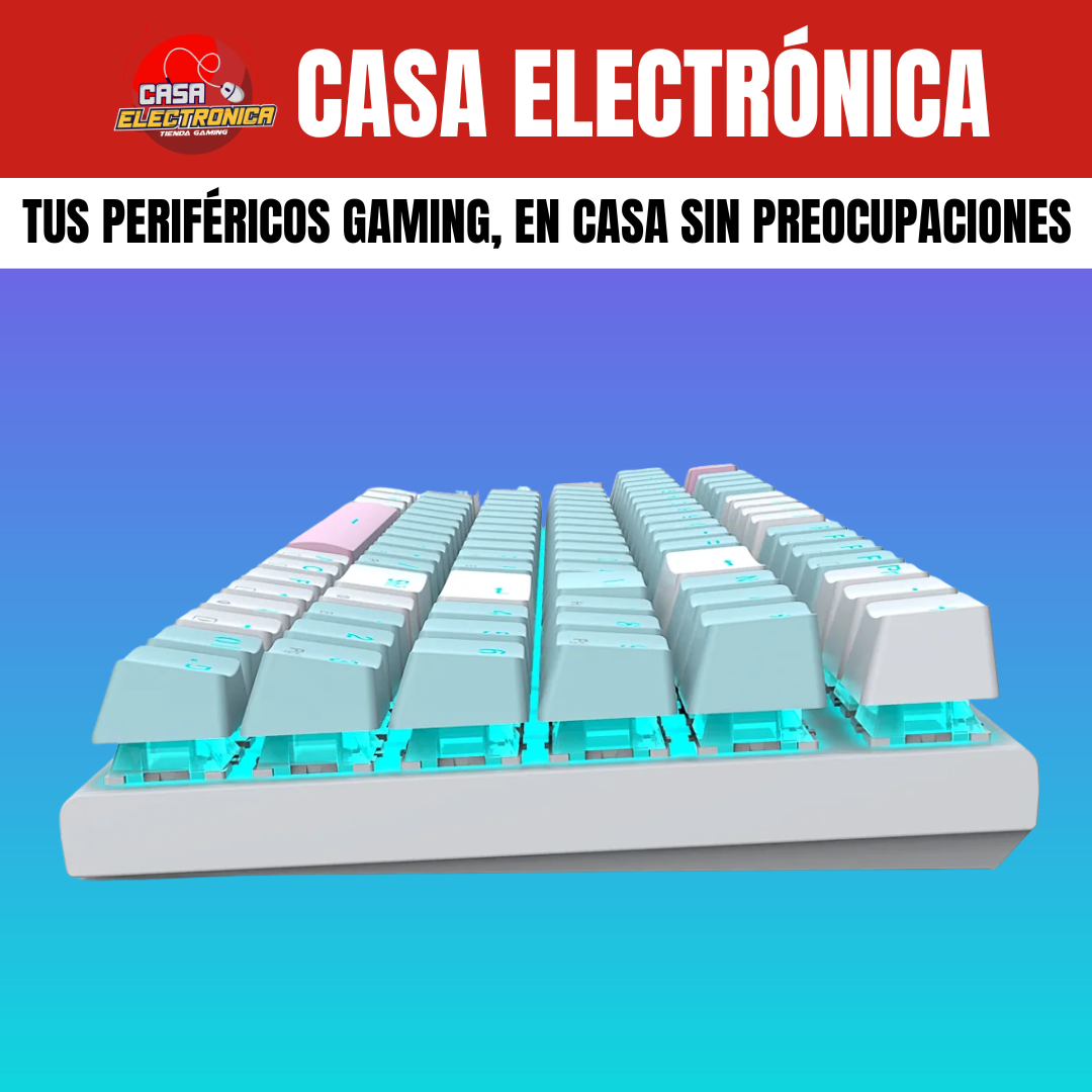 Teclado Mecánico EYooso Z19 Led 90% Gamer