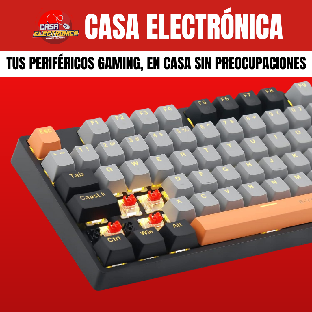 Teclado Mecánico EYooso Z14 100% Led Gamer