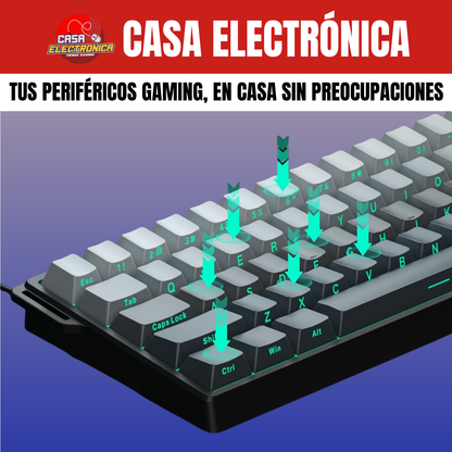 Teclado Magnético Aula Win68 HE RGB 8K Polling Rate Competitivo RGB